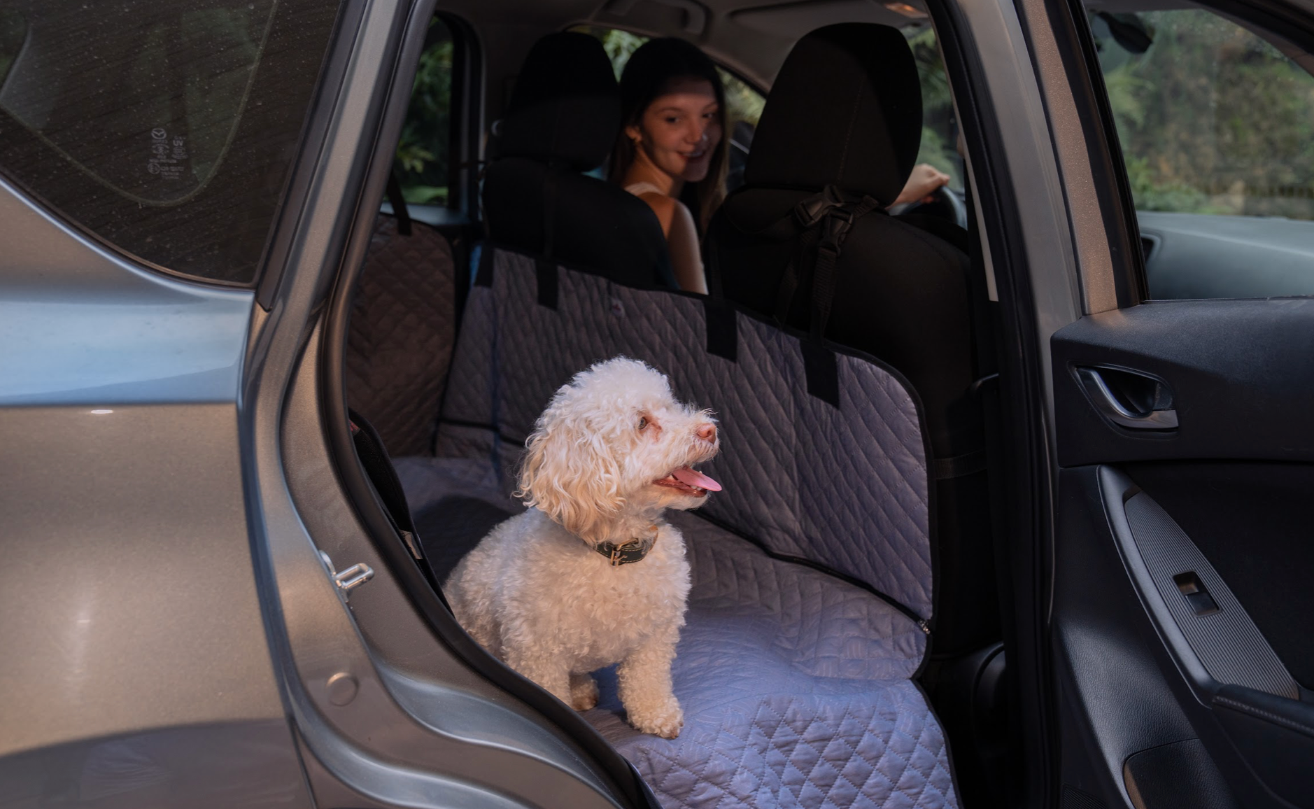Protectores Para Carro
