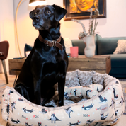 Cama Yogui en combo para mascotas