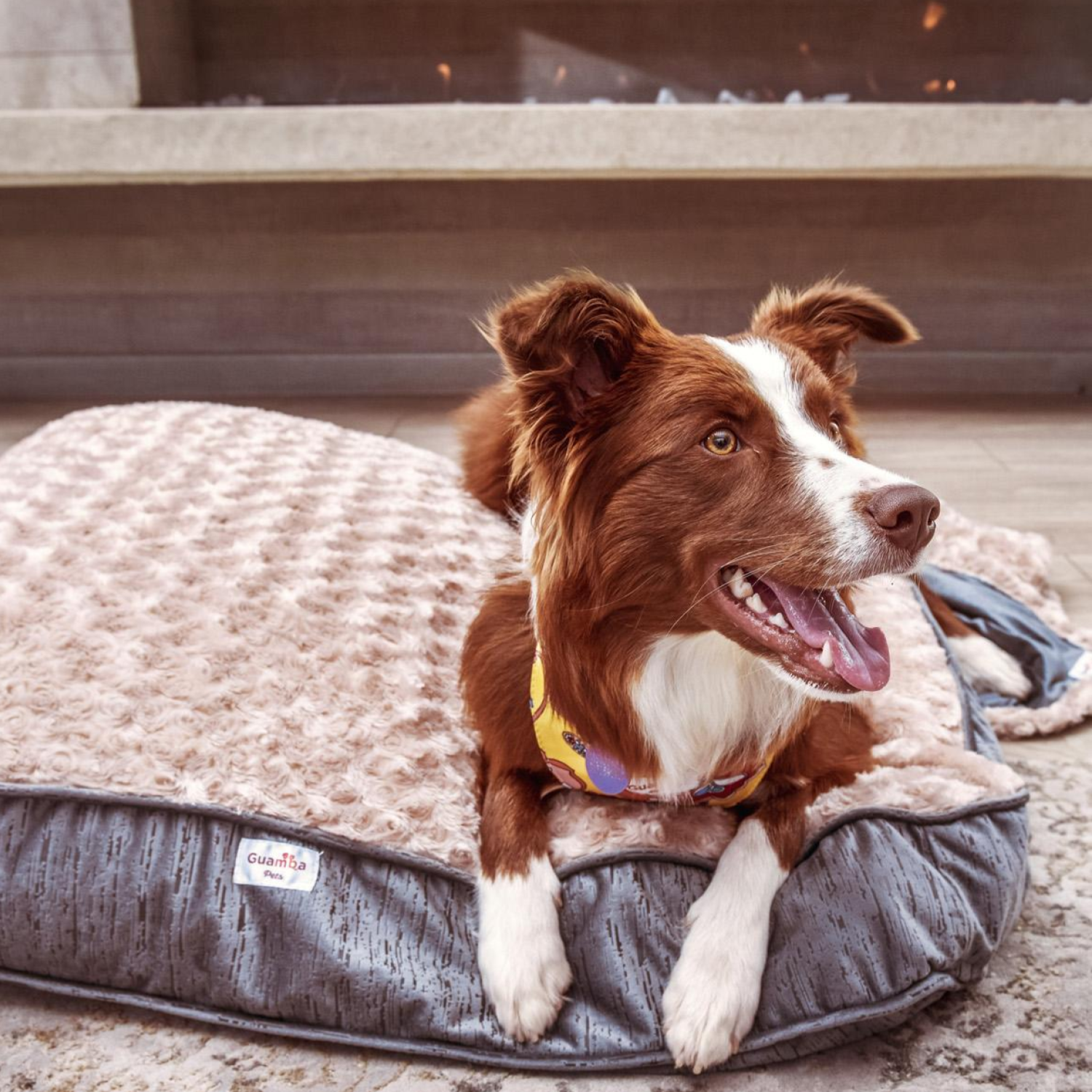 Colchones París para perro – Guamba Pets