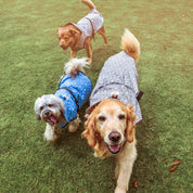 Impermeables Guamba para perro