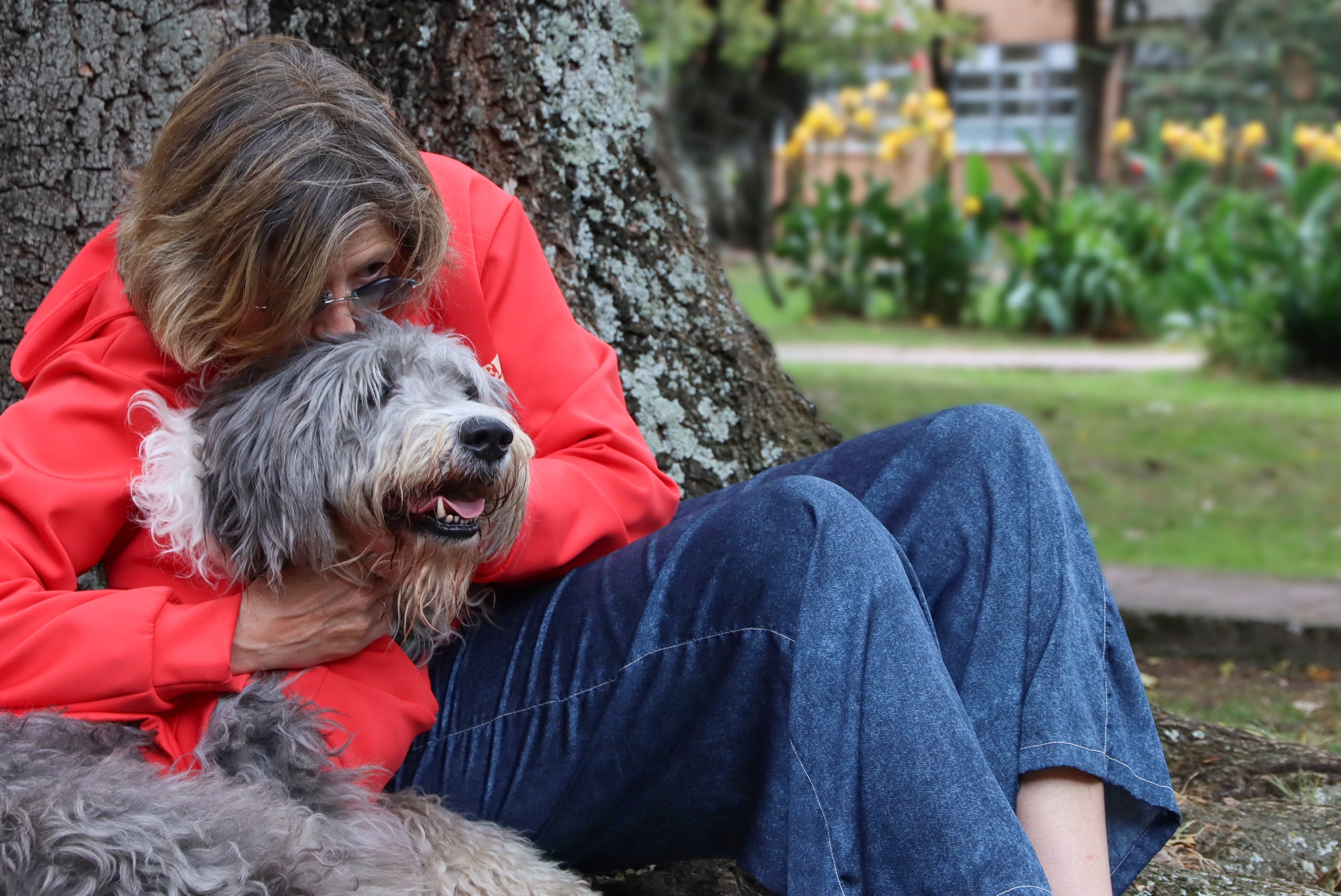 Adopción responsable de mascotas: amor y bienestar | Guamba