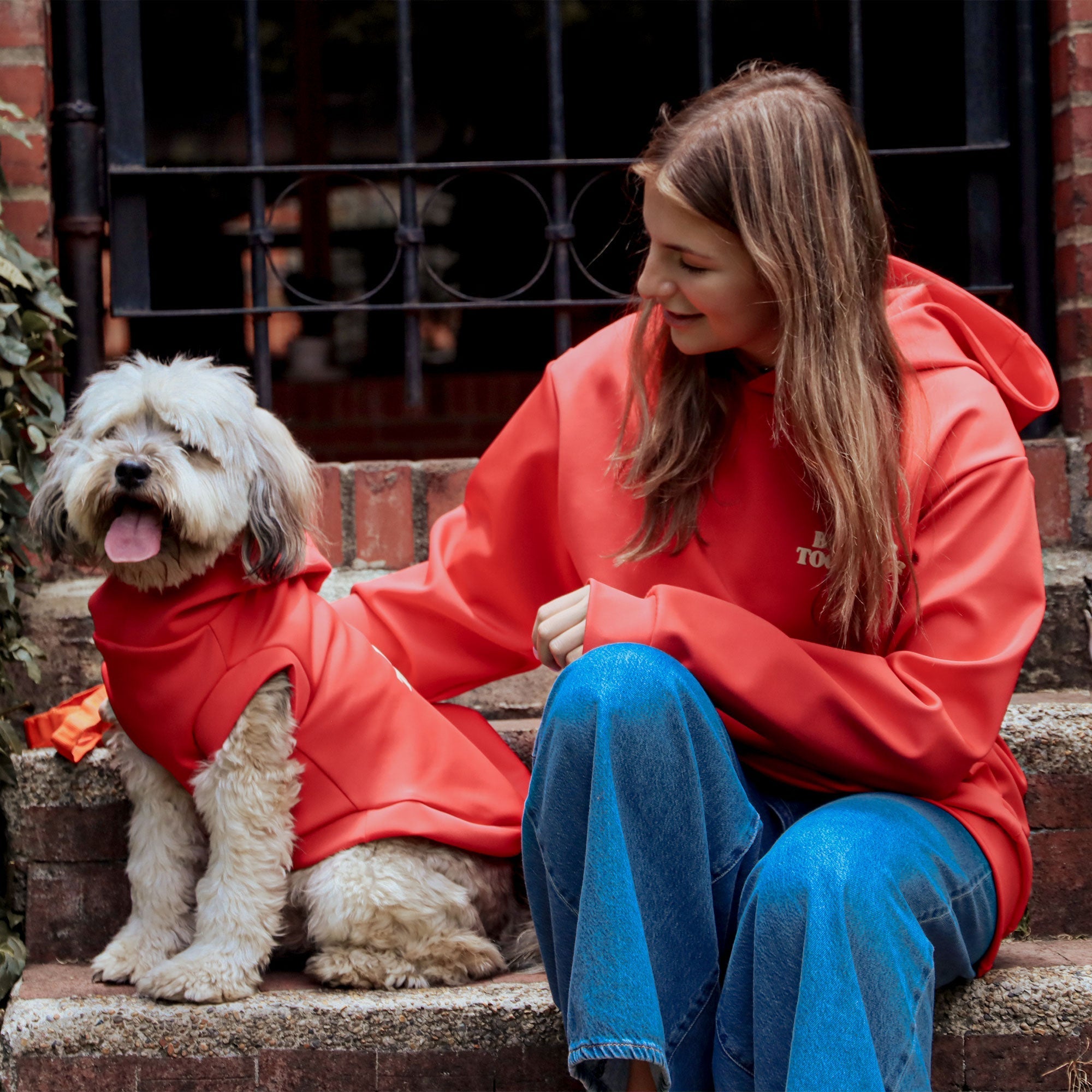 Guía práctica para vivir en armonía con mascotas en conjuntos (según la Ley 746 en Colombia)