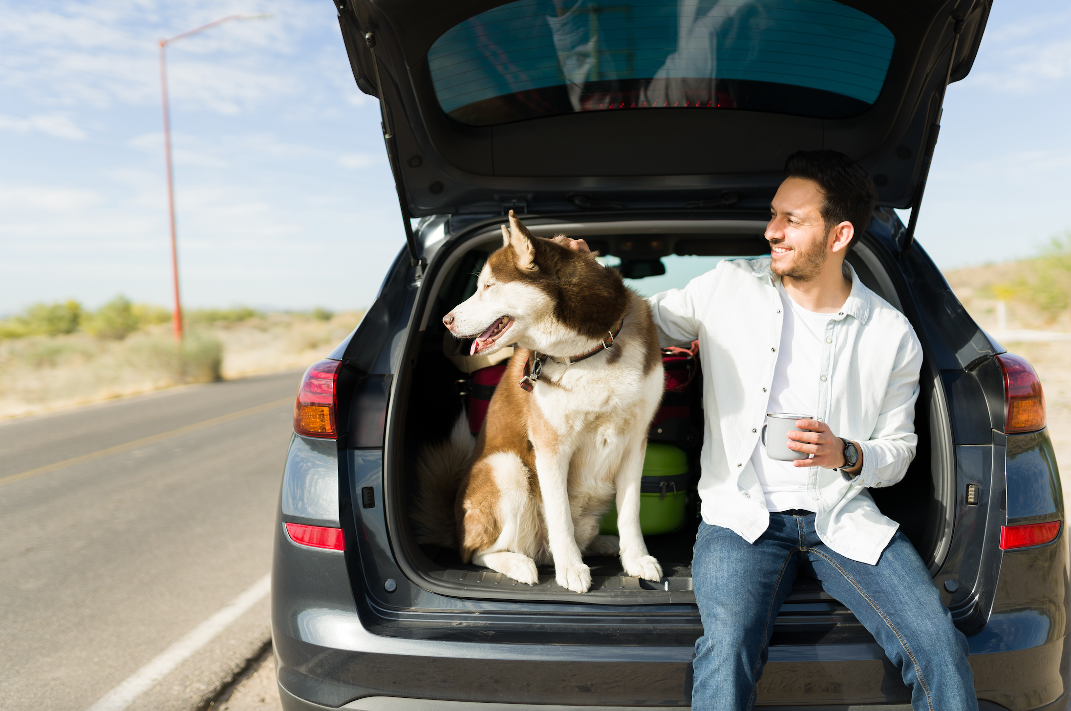 LA GUÍA DEFINITIVA PARA VIAJAR CON TU PERRO: CONSEJOS ESENCIALES