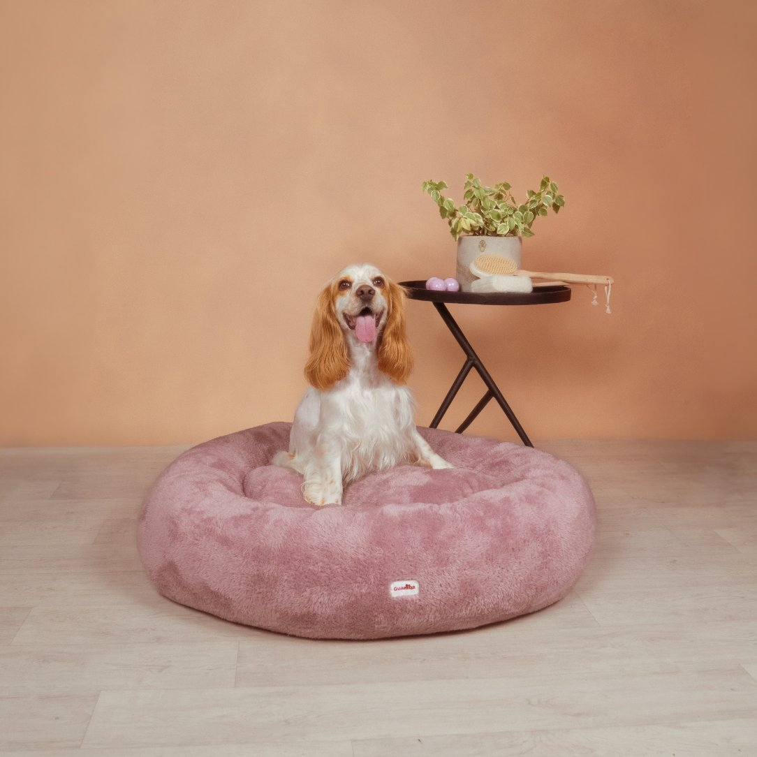 Camas Antiestres Tipo Donut