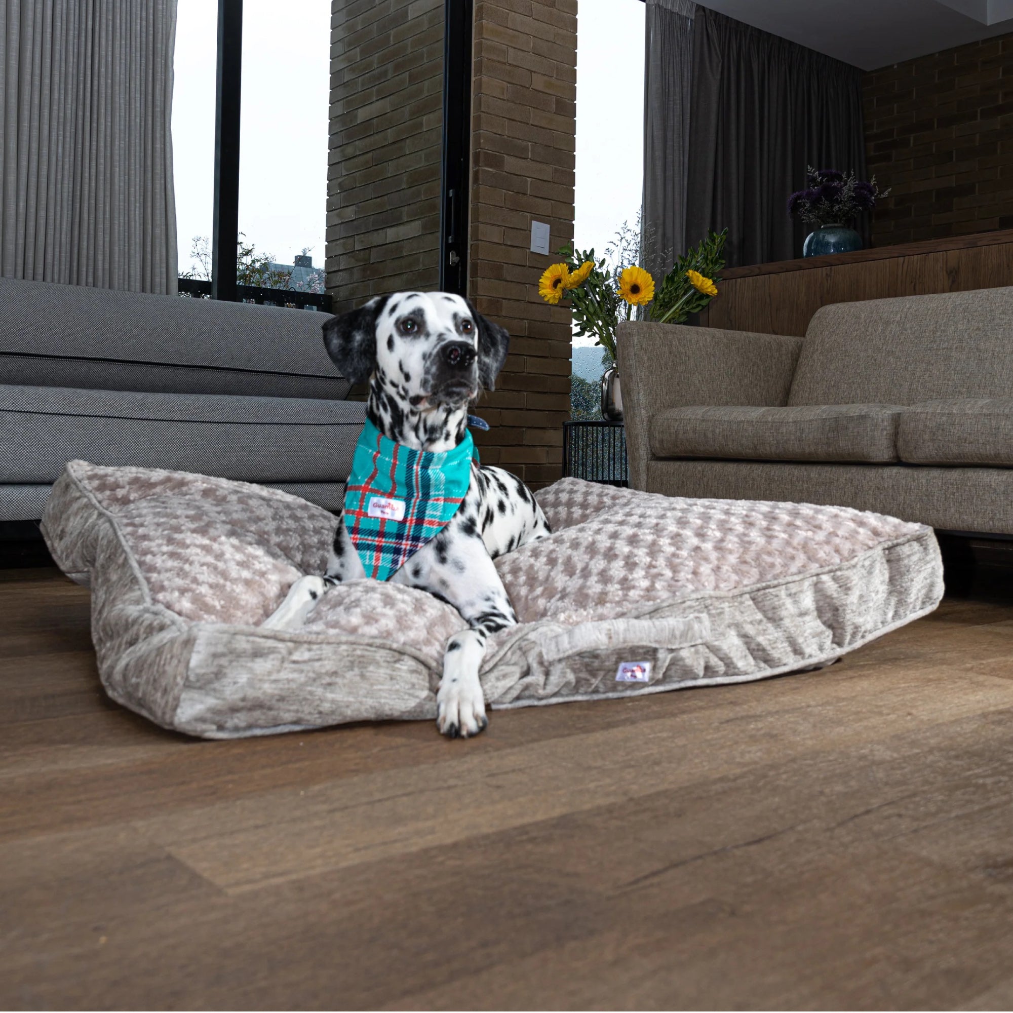 Colchones Para Perro