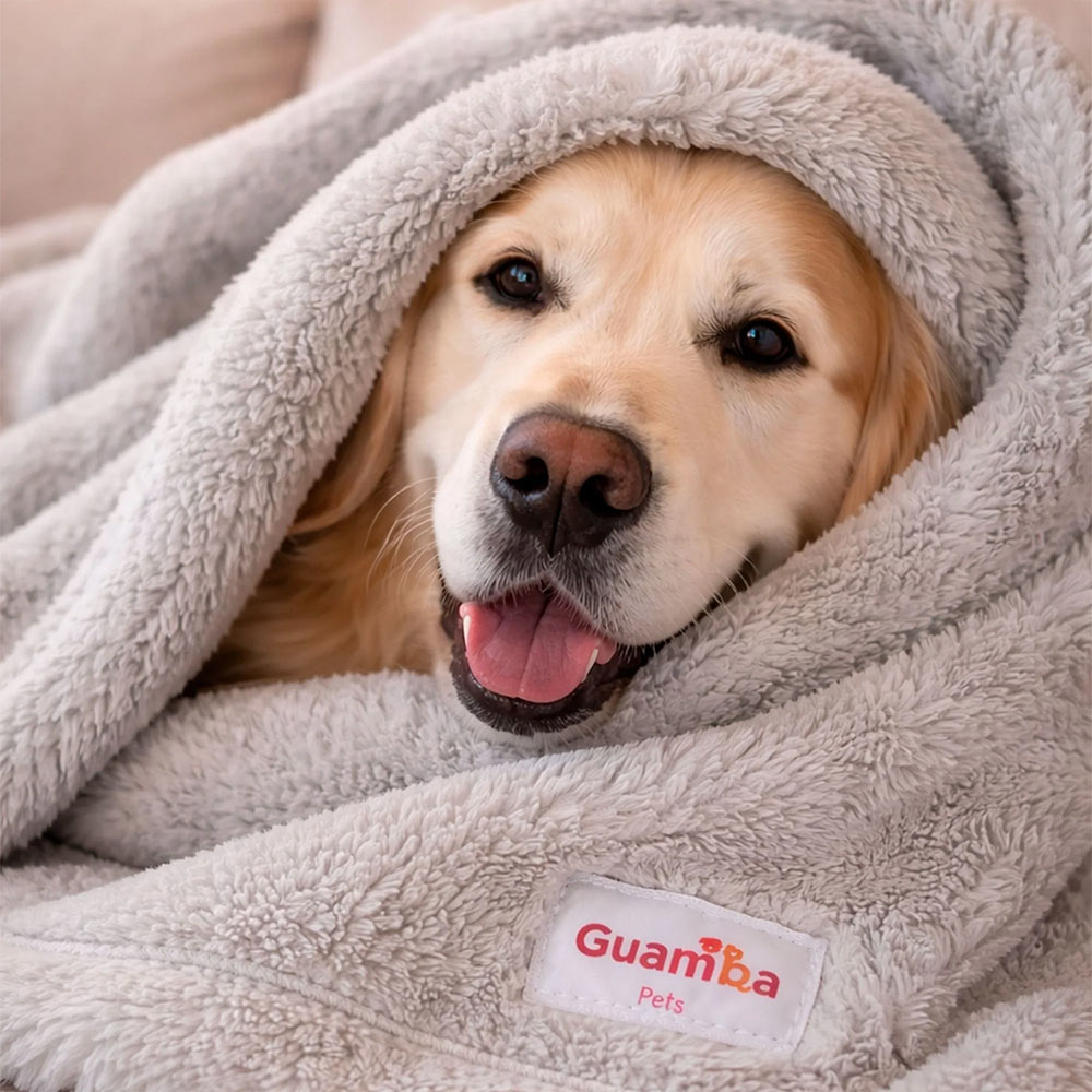 Accesorios para perros y gatos