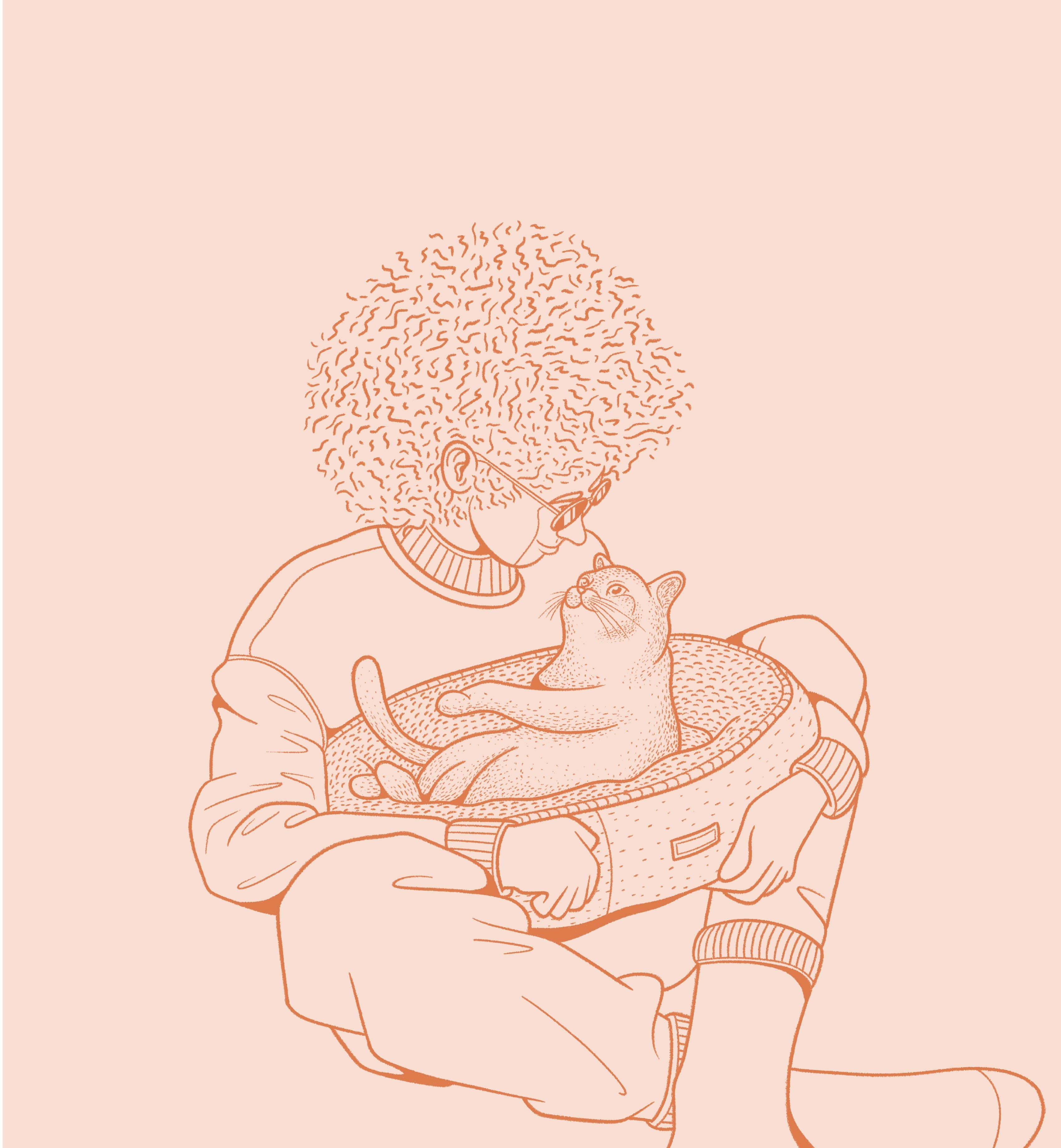 Gatos