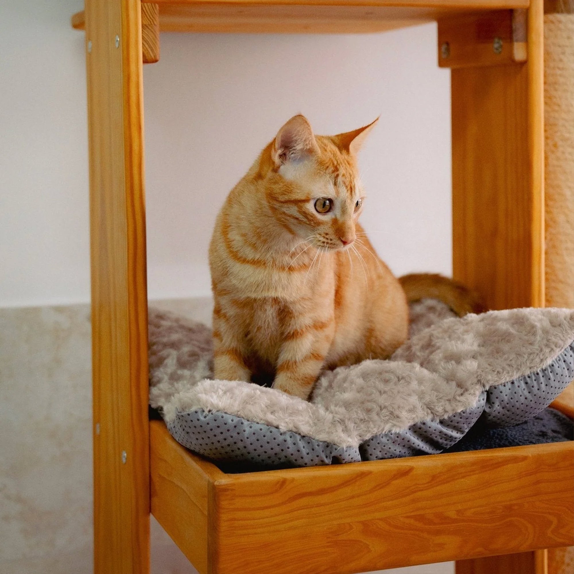 Colchoneta Guamba para gato