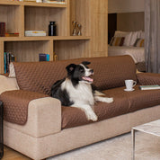 Forro protector para sofá Acolchado