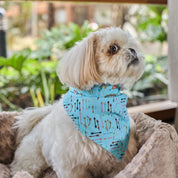Bandana Para Perro Franky
