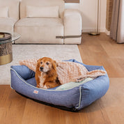 Combo Cama Fresh Para Perro