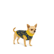 Saco Kubik para perro