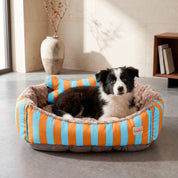 Camas Funny para mascota