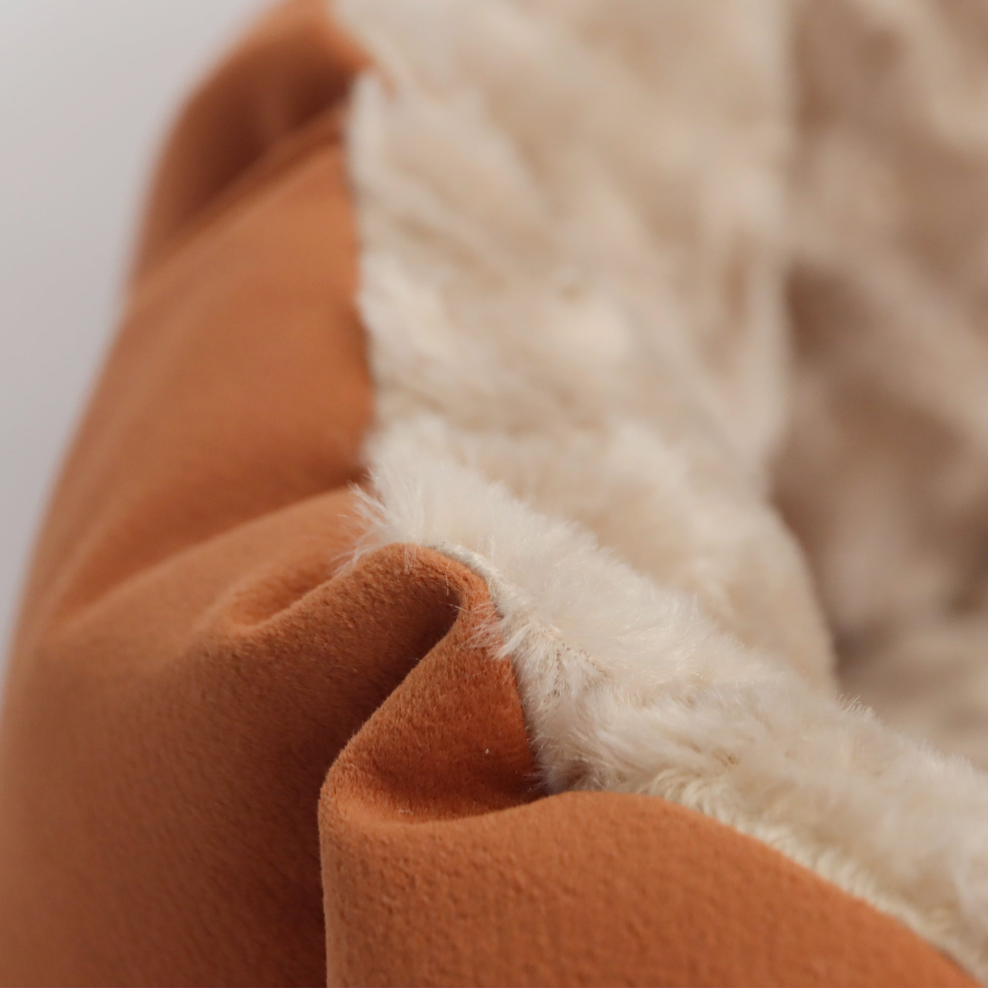 Camas París en combo para mascotas