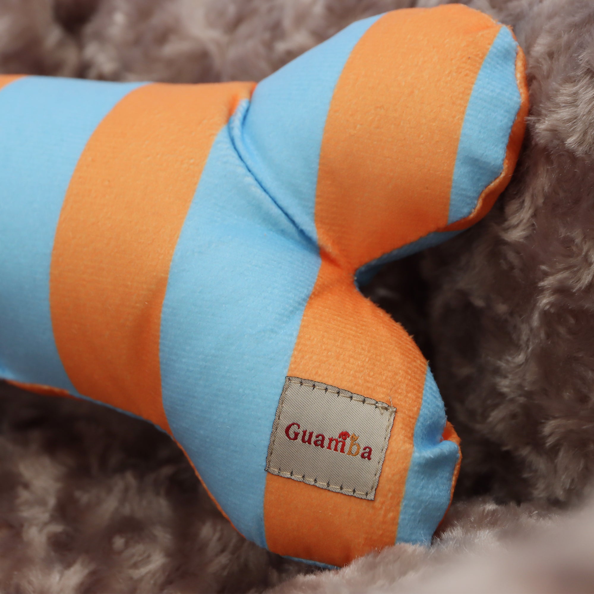 Camas Funny para mascota