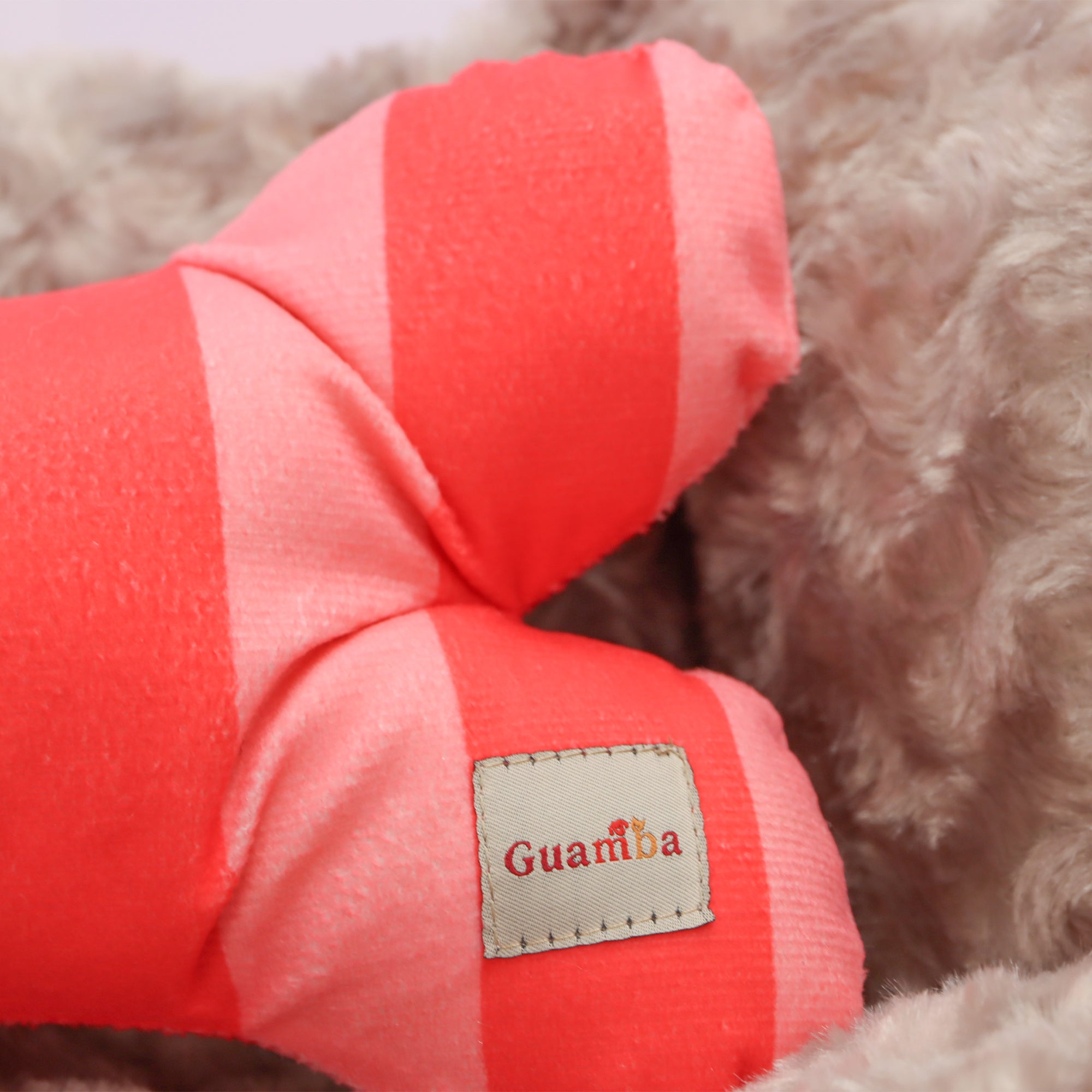 Camas Funny para mascota