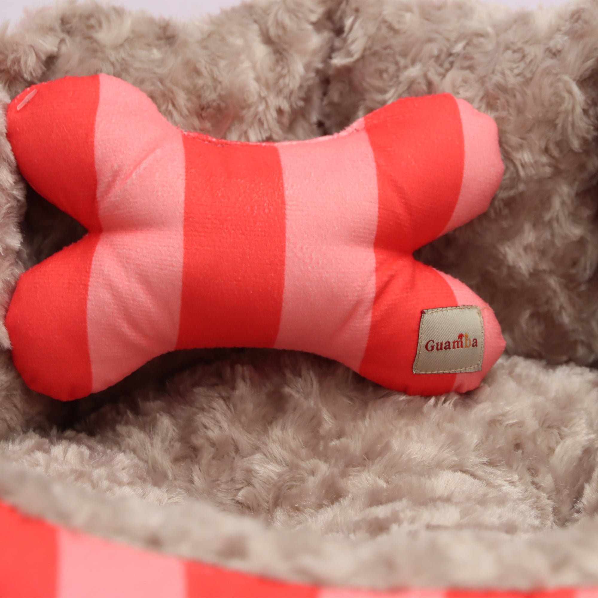 Camas Funny para mascota