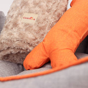 Combo cama Fresh para perro