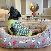 Camas estampadas en combo para mascota