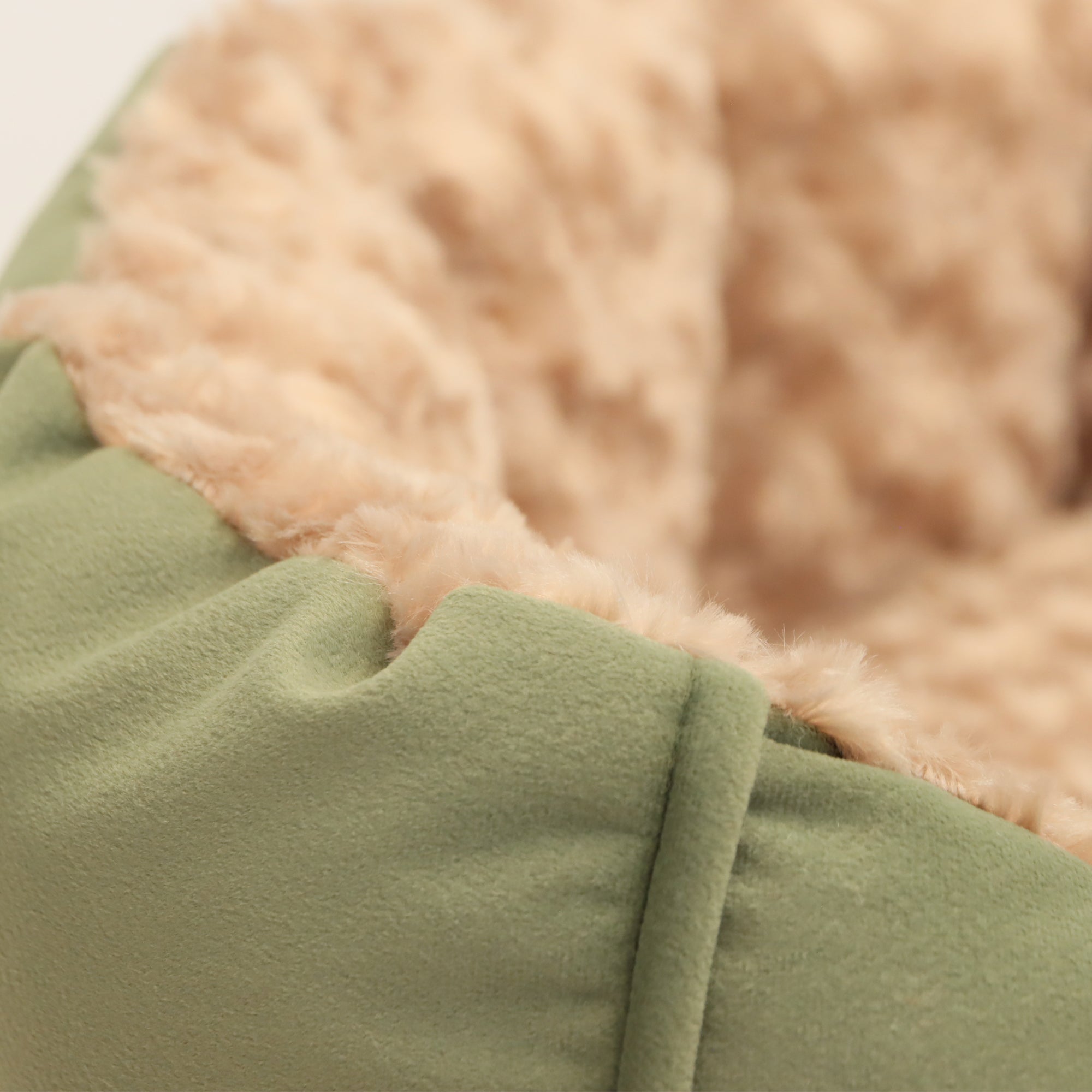 Camas París en combo para mascotas