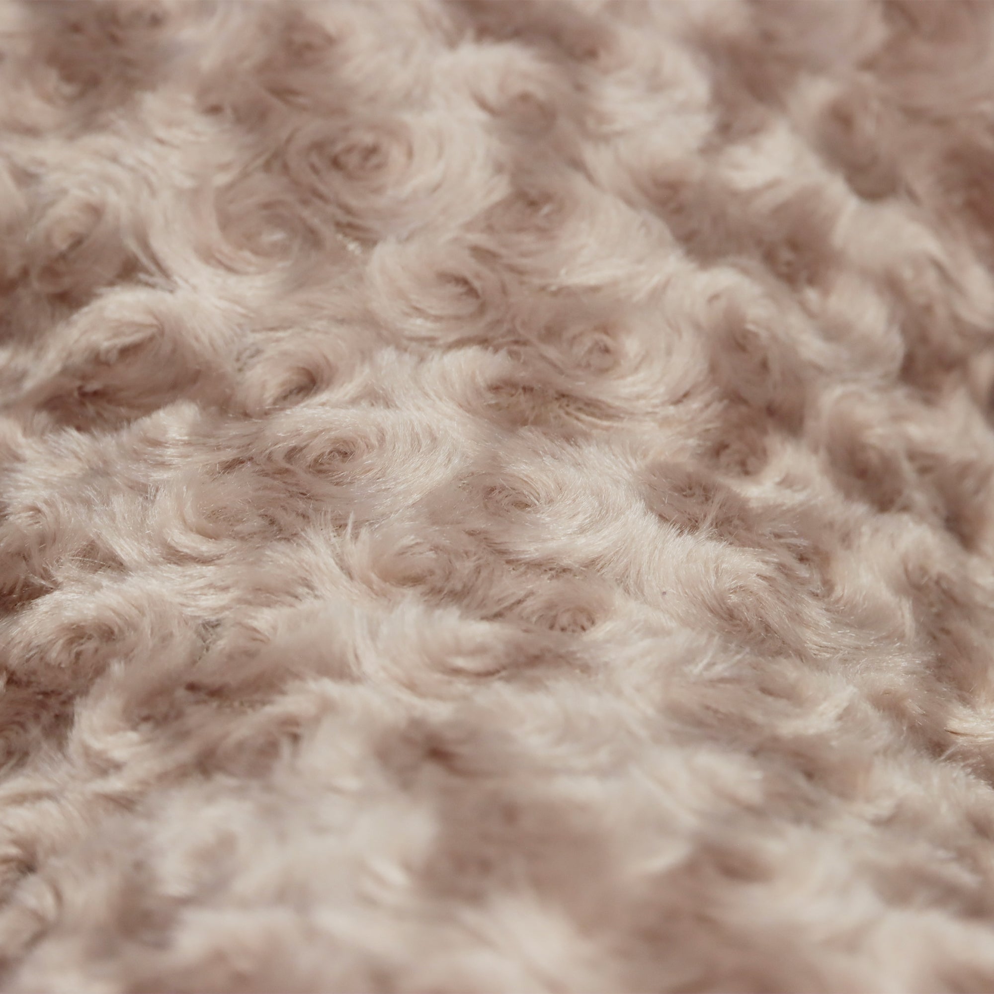 Camas París para perro