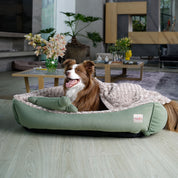 Combo Cama París para perro pistacho & coffee