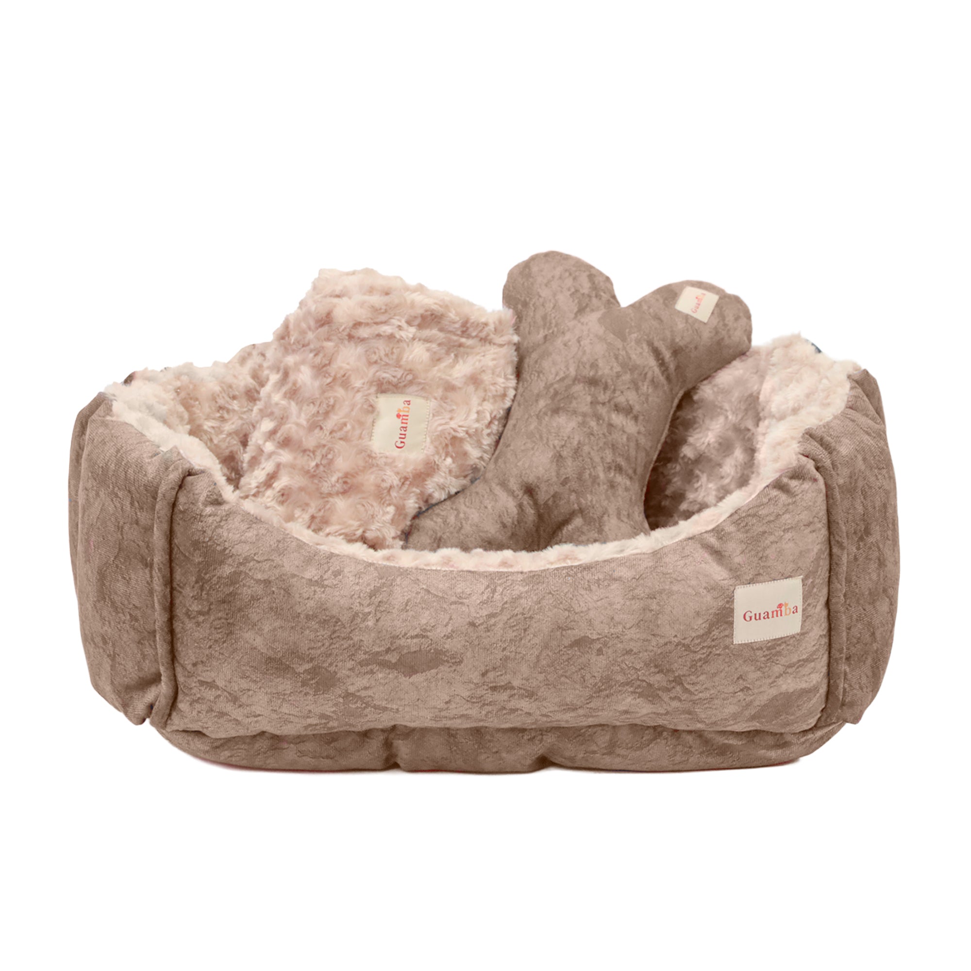 Combo Cama París para perro