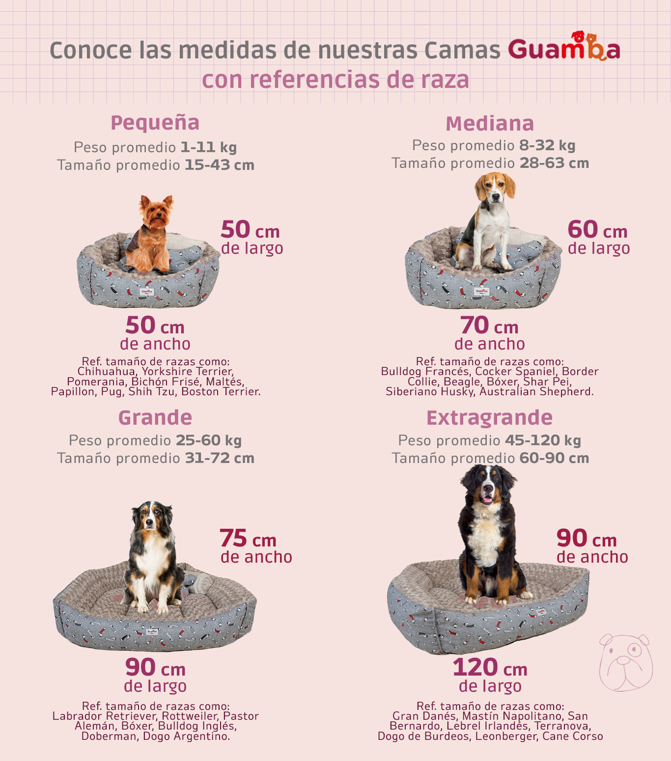 Combo mascota cama paris