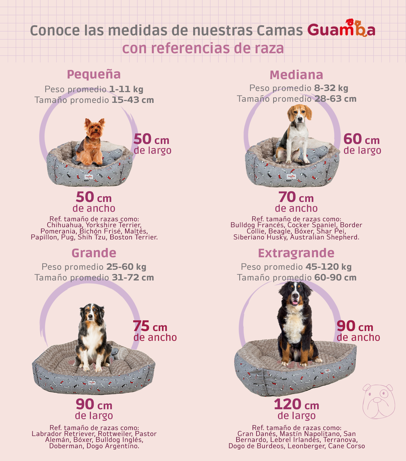 Combo Cama para perro Bones