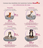 Combo Cama para perro Bones