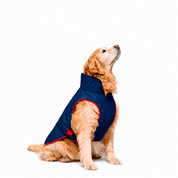 Chaquetas impermeables Classic Dog