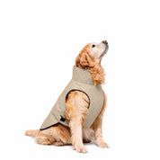 Chaquetas impermeables Classic Dog