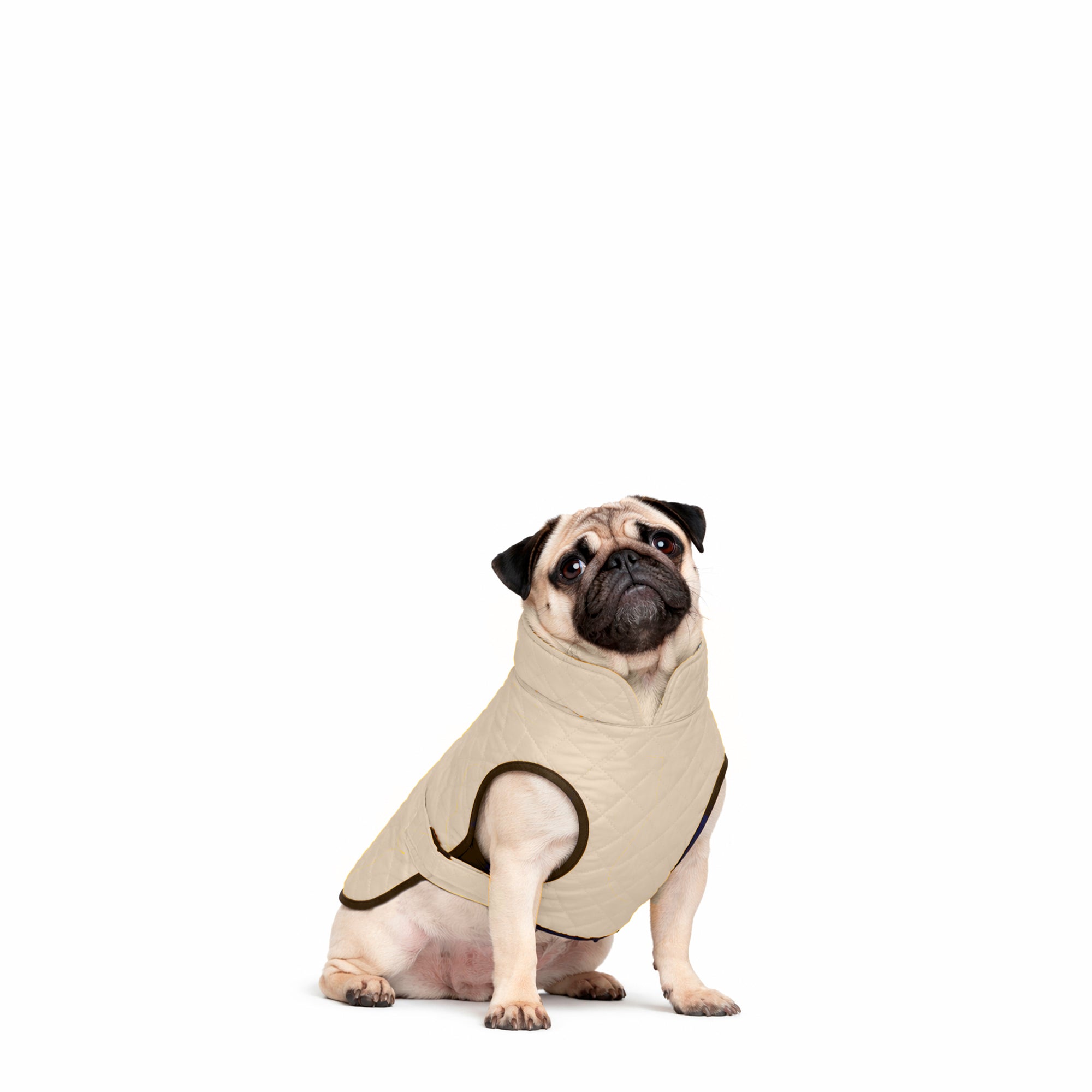 CHAQUETA-CAFE-S.jpg