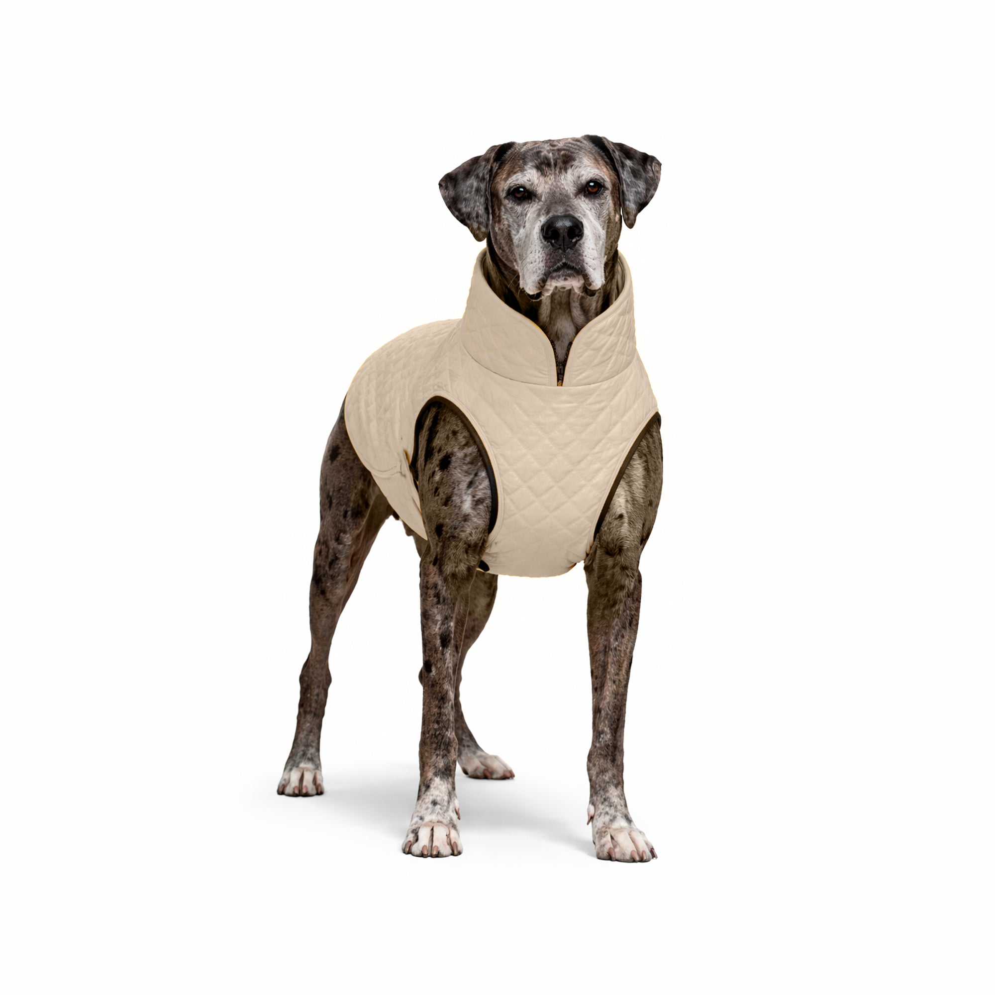 CHAQUETA-CAFE-XL.jpg