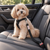 Cinturón de seguridad ajustable para perro en carro