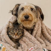 Cobija Remolino para perros y gatos