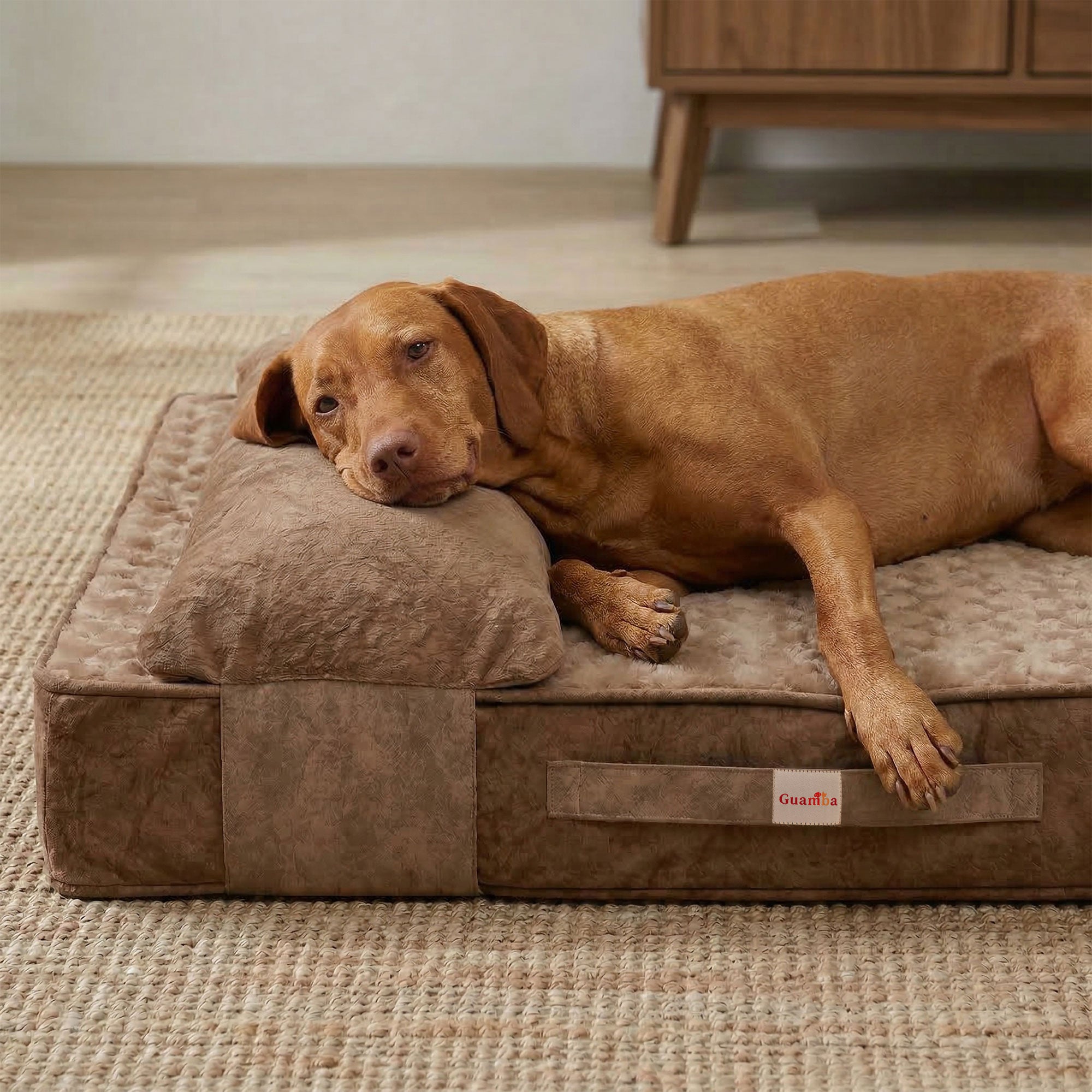 Colchón ortopédico para perros París | Guamba – Guamba Pets