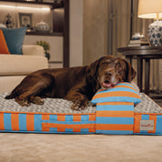 Colchón Funny Ortopédico + Almohada para perro