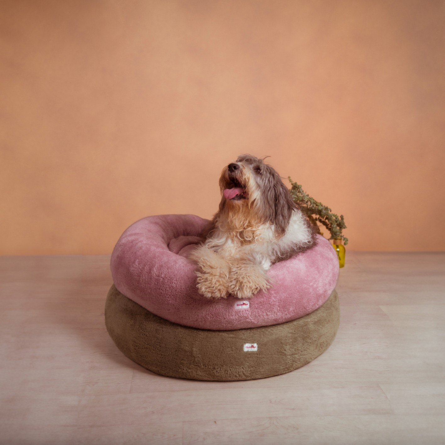 Cama antiestres para discount perro