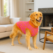 Saco Kubik para perro