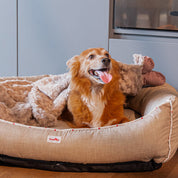 Combo Cama Fresh Para Perro