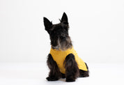 Saco Mascota Preppy