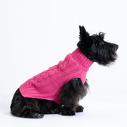 Saco Mascota Preppy