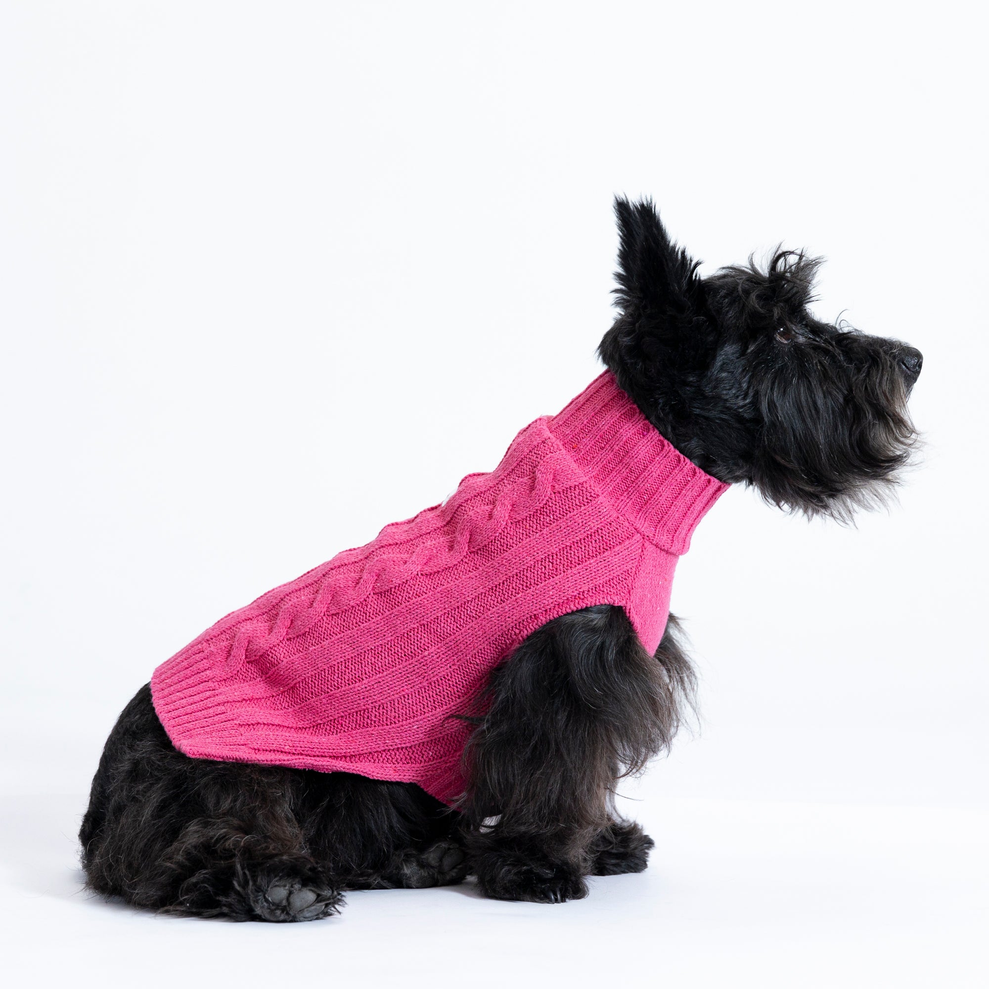 Saco Mascota Preppy