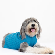 Saco Mascota Preppy