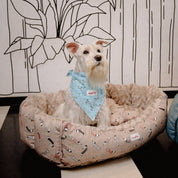 Combo Cama Para Perro Teckel