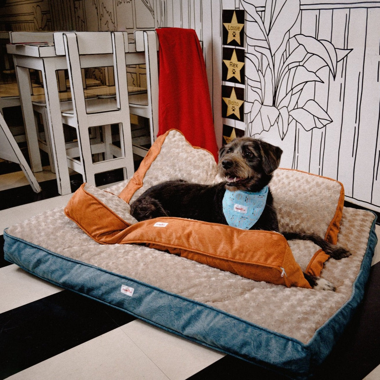 camas para perros medianos