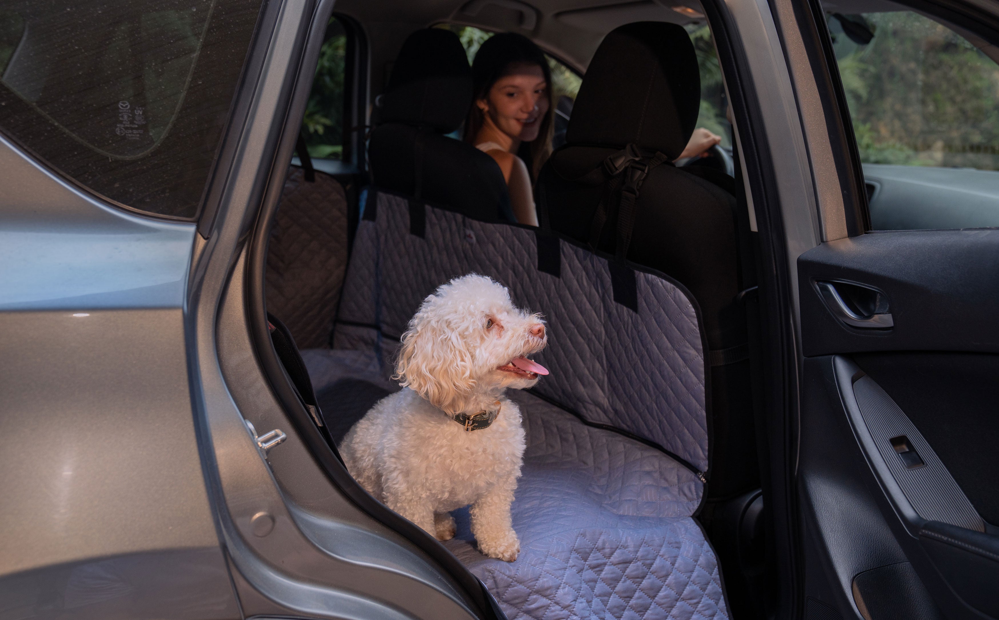 Guamba_Lifestyle-carro.jpg