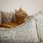 lindas camas para gato 