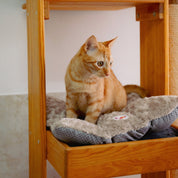 Colchoneta Guamba para gato